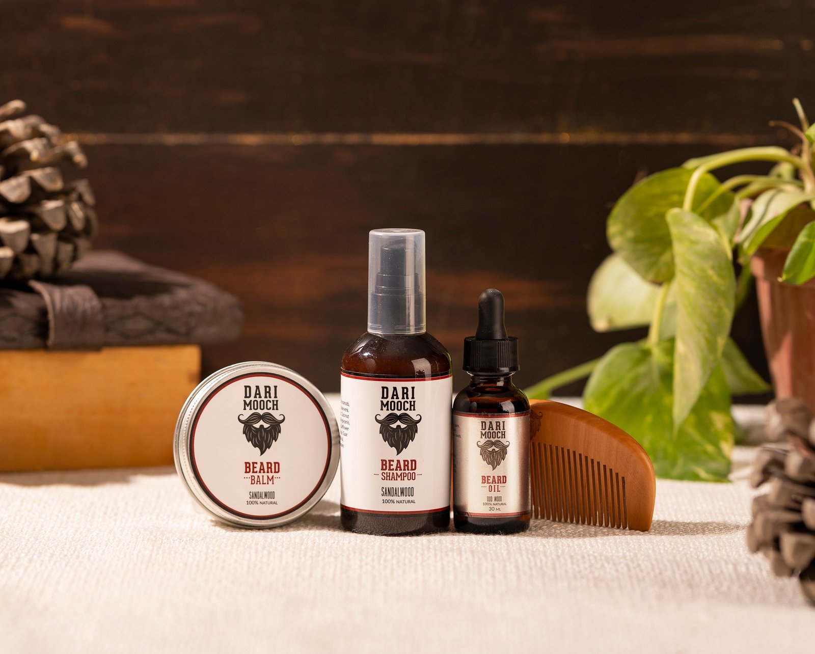 312106663_7970962419641117_8070991179599621195_n